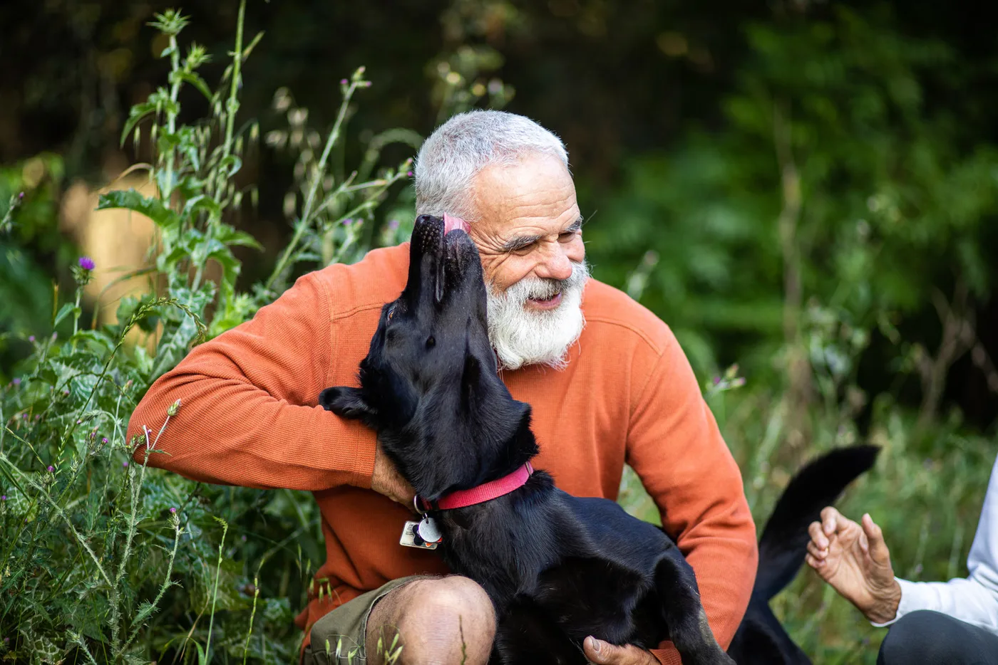An older man in an orange jumper laughing in a garden, a black dog in a pink collar pressed against his face