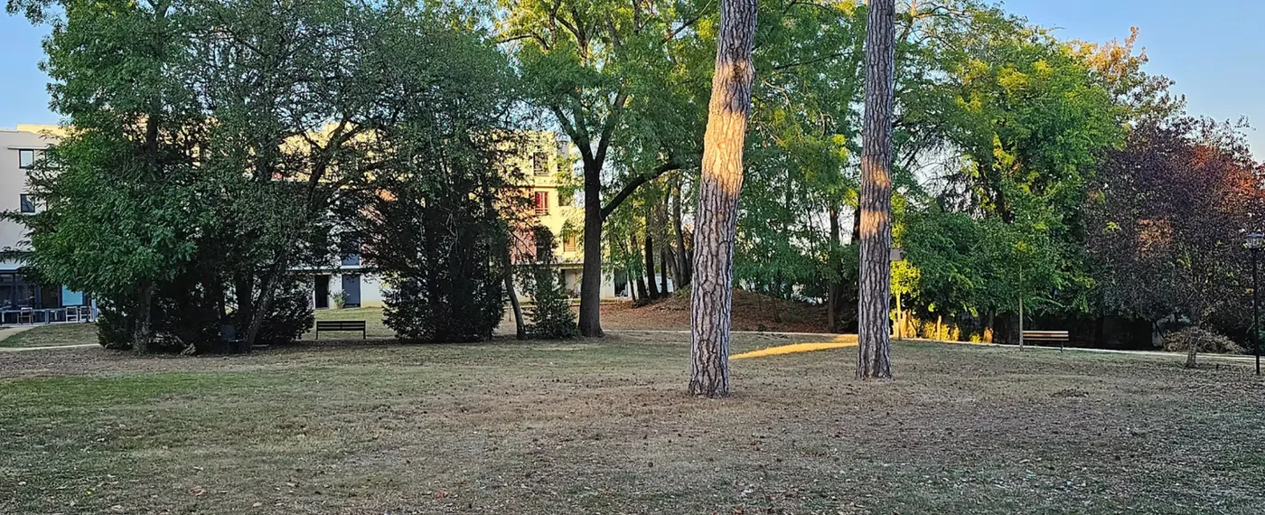 Le parc voisin de la résidence, ses arbres et sa pelouse sous un ciel gris